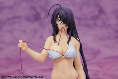 一骑当千 集鍔闘士血風録 关羽云长 -水着ver.- 