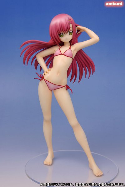 旋风管家！ 桂雏菊