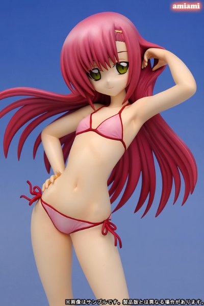 旋风管家！ 桂雏菊