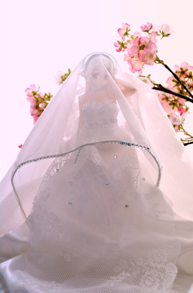 超级索尼子 SONICOMI包装版 -Berry！-