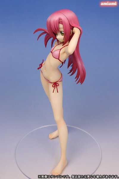 旋风管家！ 桂雏菊