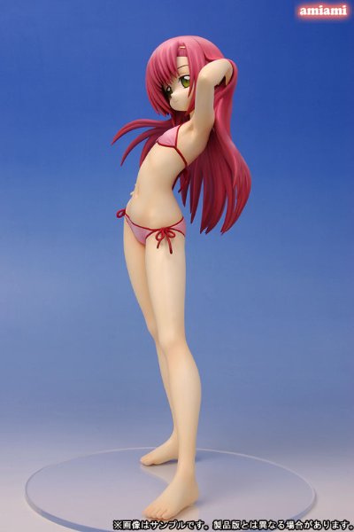 旋风管家！ 桂雏菊