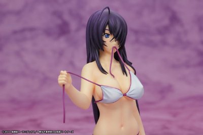 一骑当千 集鍔闘士血風録 关羽云长 -水着ver.- 