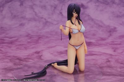 一骑当千 集鍔闘士血風録 关羽云长 -水着ver.- 