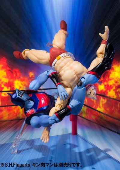 S.H.Figuarts 罗宾假面