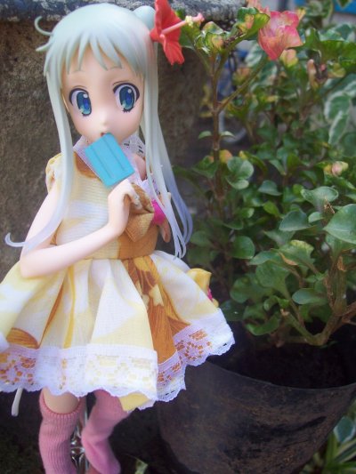 未闻花名 本間芽衣子