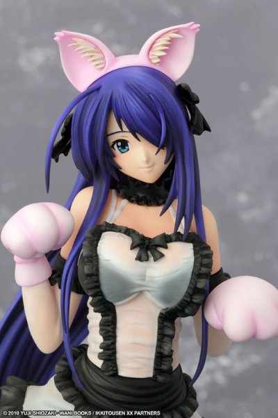一骑当千 Xtreme Xecutor 関羽云长 Maid Nekomimi 