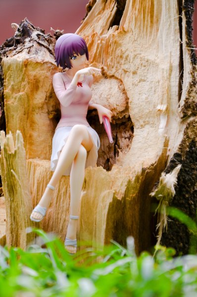 战场原黑仪 - 伪物语 -