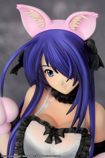 一骑当千 Xtreme Xecutor 関羽云长 Maid Nekomimi 