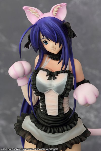 一骑当千 Xtreme Xecutor 関羽云长 Maid Nekomimi 