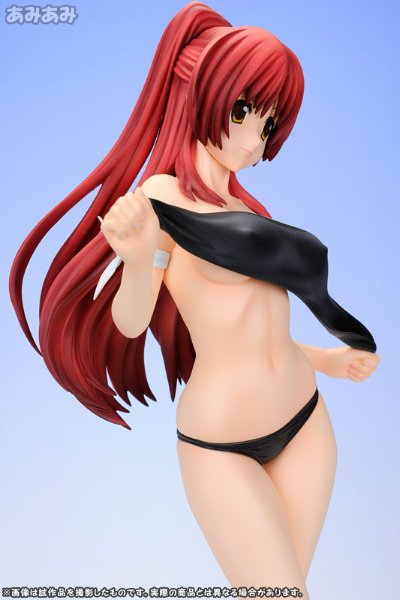 ToHeart2 向坂環 -バケーションver.- (通常版黑)