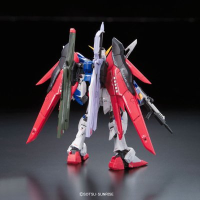 RG#11 ZGMF-X42S  命运高达