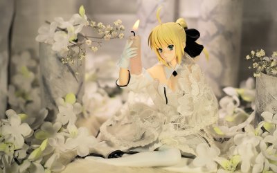 Saber・Lily