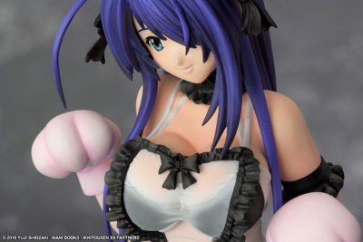 一骑当千 Xtreme Xecutor 関羽云长 Maid Nekomimi 