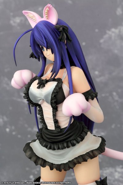 一骑当千 Xtreme Xecutor 関羽云长 Maid Nekomimi 