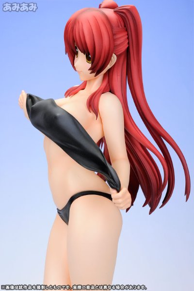 ToHeart2 向坂環 -バケーションver.- (通常版黑)