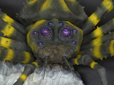 东宝大怪兽系列 库蒙加(1967版)  一般流通版