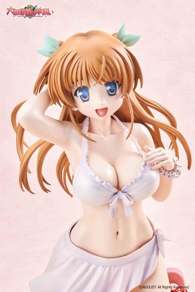 大图书馆的饲养人 白崎鸫