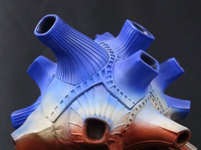 大怪兽系列巨型 布鲁顿