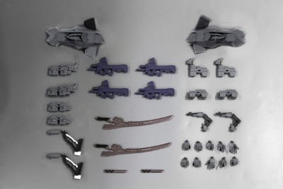 不知火・弐型 富士教导団「イスミ・威尔キリーズ」所属机 プラキット(MUV-LUV Muv-luv)