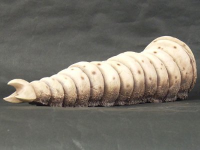 东宝30cm系列 摩斯拉幼虫