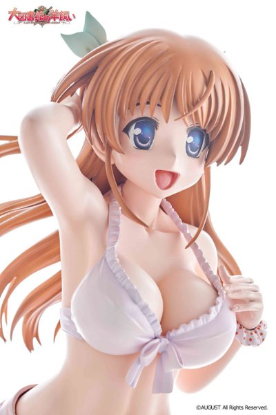 大图书馆的饲养人 白崎鸫