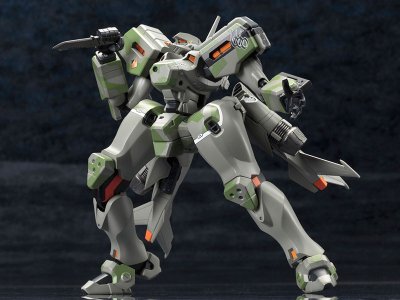 黑之宣告 MiG-21 巴拉莱卡 提奥多尔·艾伯巴赫机