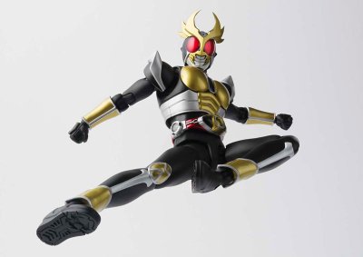 S.H.Figuarts（真骨雕制法） 假面骑士亚极陀 假面骑士亚极陀 大地形态