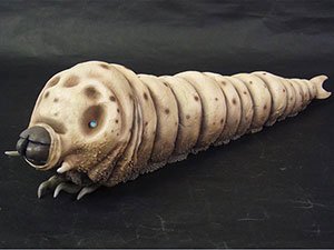 东宝30cm系列 摩斯拉幼虫