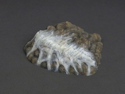 东宝大怪兽系列 库蒙加(1967版)  一般流通版