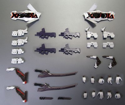 MUV-LUV Muv-luv Total Eclipse 不知火・弐型 デモンストレーターカラー Plastic Kit