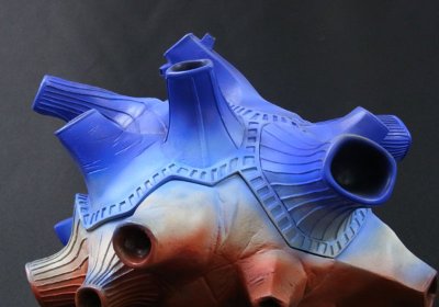 大怪兽系列巨型 布鲁顿