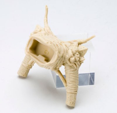 MUV-LUV Muv-luv Total Eclipse