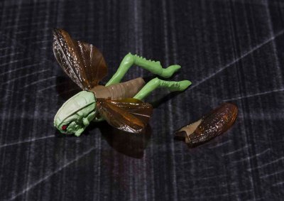 S.H.Figuarts  假面骑士泽零