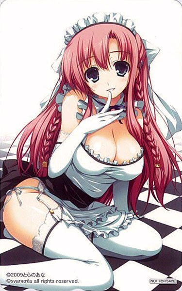 晓之护卫 二阶堂彩