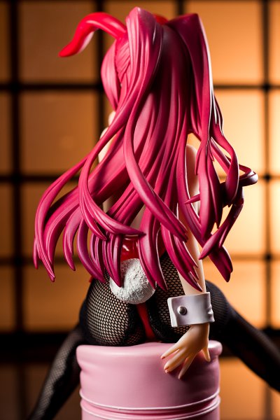 ToHeart2 向坂环 兔女郎Ver.