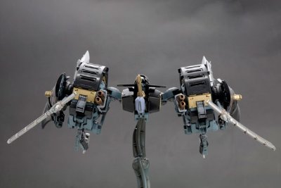 斑鸠 飞鉄块 斑鸠［黑］