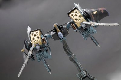 斑鸠 飞鉄块 斑鸠［黑］