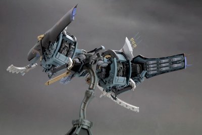 斑鸠 飞鉄块 斑鸠［黑］