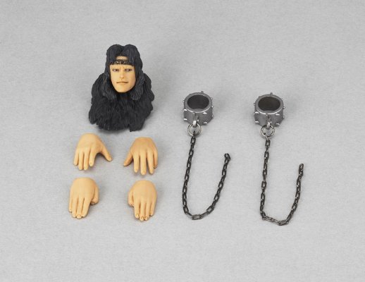 【LEGACY OF REVOLTECH】 LR-030 托奇