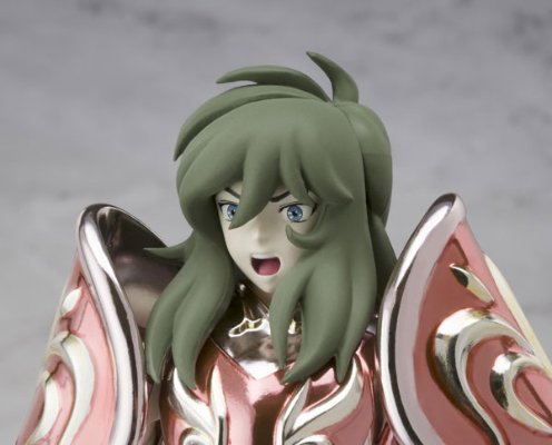 圣斗士圣衣神话 仙女座 瞬 神圣衣 -10周年版-