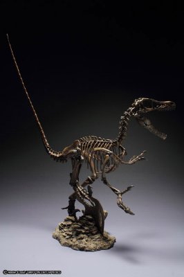Master Fossil ヴェロキラプトル
