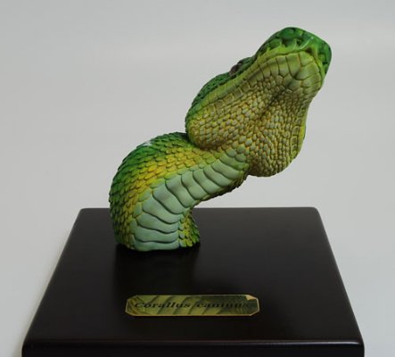 リアル・レプタイル・系列 ＃001 エメラルドツリーボア