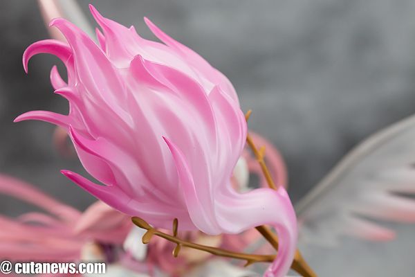 魔法少女小圆  终极小圆