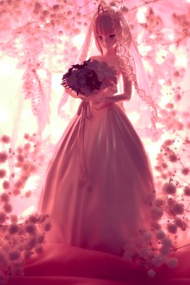 命运之夜 Saber ～TYPE-MOON10周年皇室礼服～