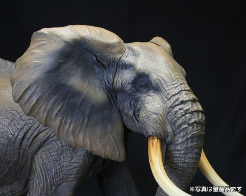 メガソフビアドバンス MSA-007 非洲象