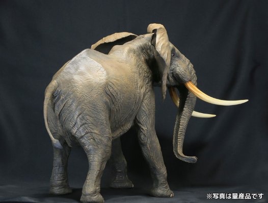 メガソフビアドバンス MSA-007 非洲象