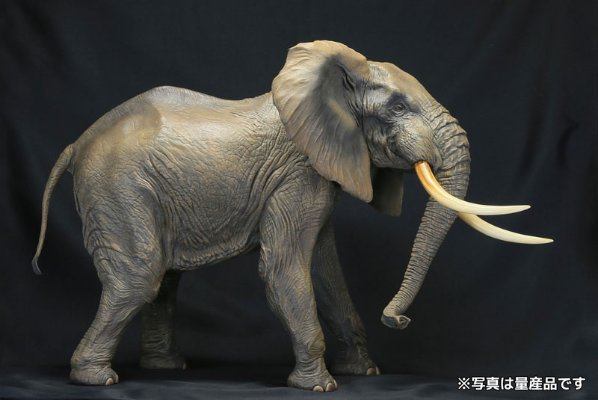 Mega Sofubi Advance MSA-007 非洲象