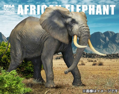 メガソフビアドバンス MSA-007 非洲象