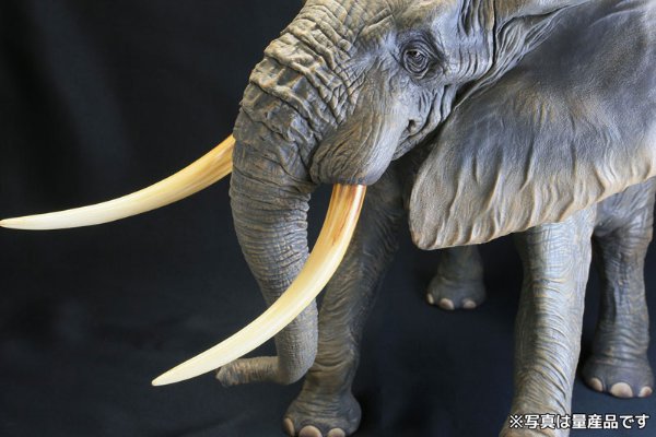 メガソフビアドバンス MSA-007 非洲象